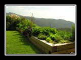 pacific palisades vegatable garden
