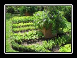 garden design
